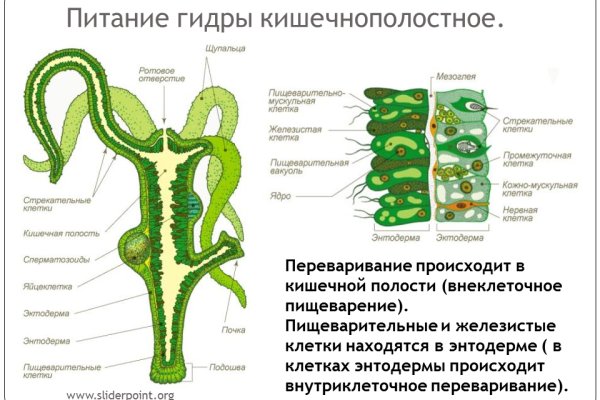 Kraken ссылка зеркало официальный